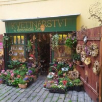 IMG_20220824_125021