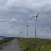 Zomer (261)