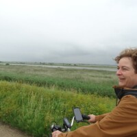 Zomer (276)