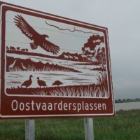 Zomer (294)