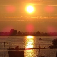 Zomer (403)