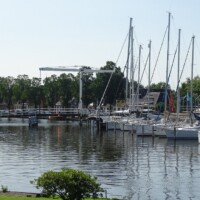 Zomer (559)