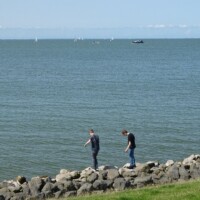 Zomer (579)