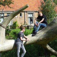 Zomer (651)