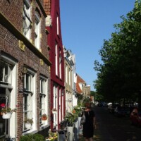 Zomer (678)