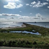 Zomer (700)