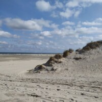 Zomer (731)