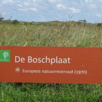 Zomer (760)