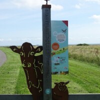 Zomer (786)