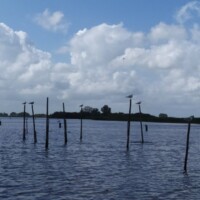 Zomer (858)