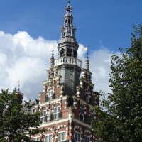 Zomer (919)